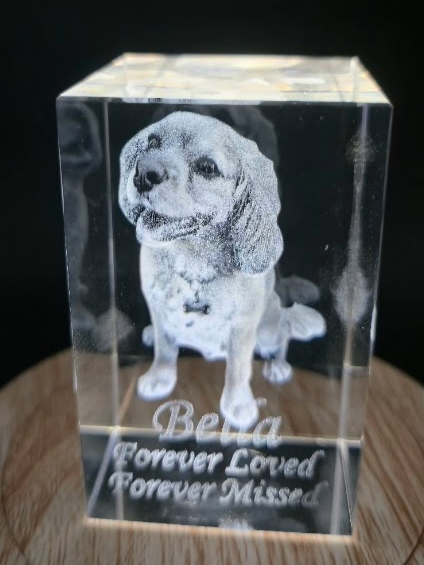 Custom laser engraved crystal pet memorial block with 3D portrait inside optical crystal