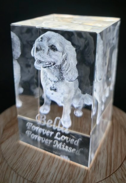 Crystal memorial block with pet portrait laser engraved inside catching light