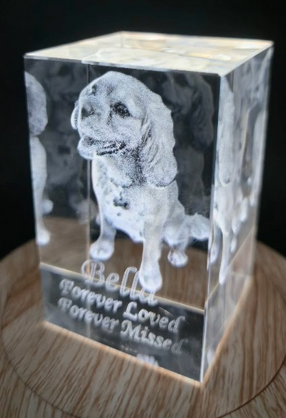 Crystal memorial block with pet portrait laser engraved inside catching light